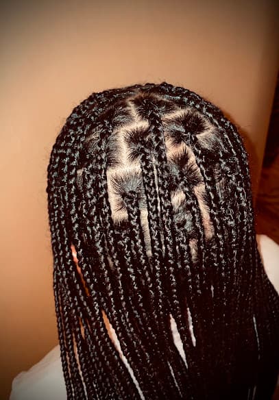 Best Braids By Fe Fe